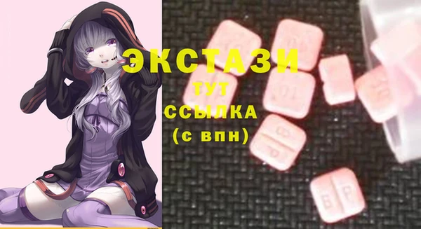 гидра Вяземский