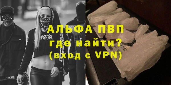 гидра Вяземский