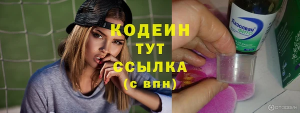 гидра Вяземский