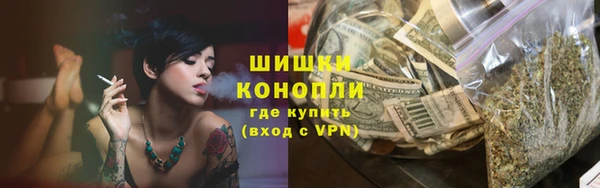 гидра Вяземский