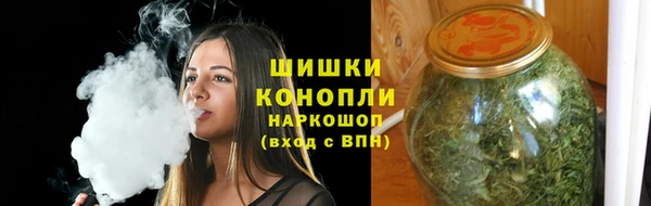 гидра Вяземский