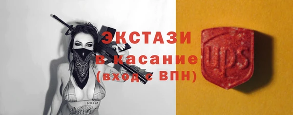 гидра Вяземский