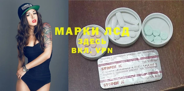 гидра Вяземский