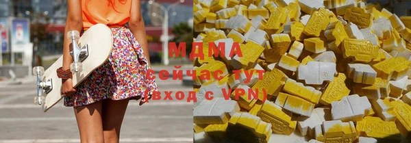 гидра Вяземский