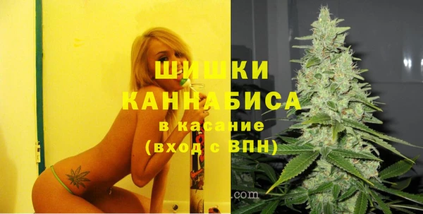 гидра Вяземский