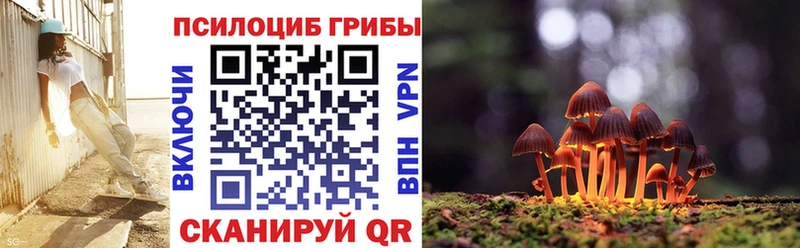 Галлюциногенные грибы Magic Shrooms  Зеленокумск 